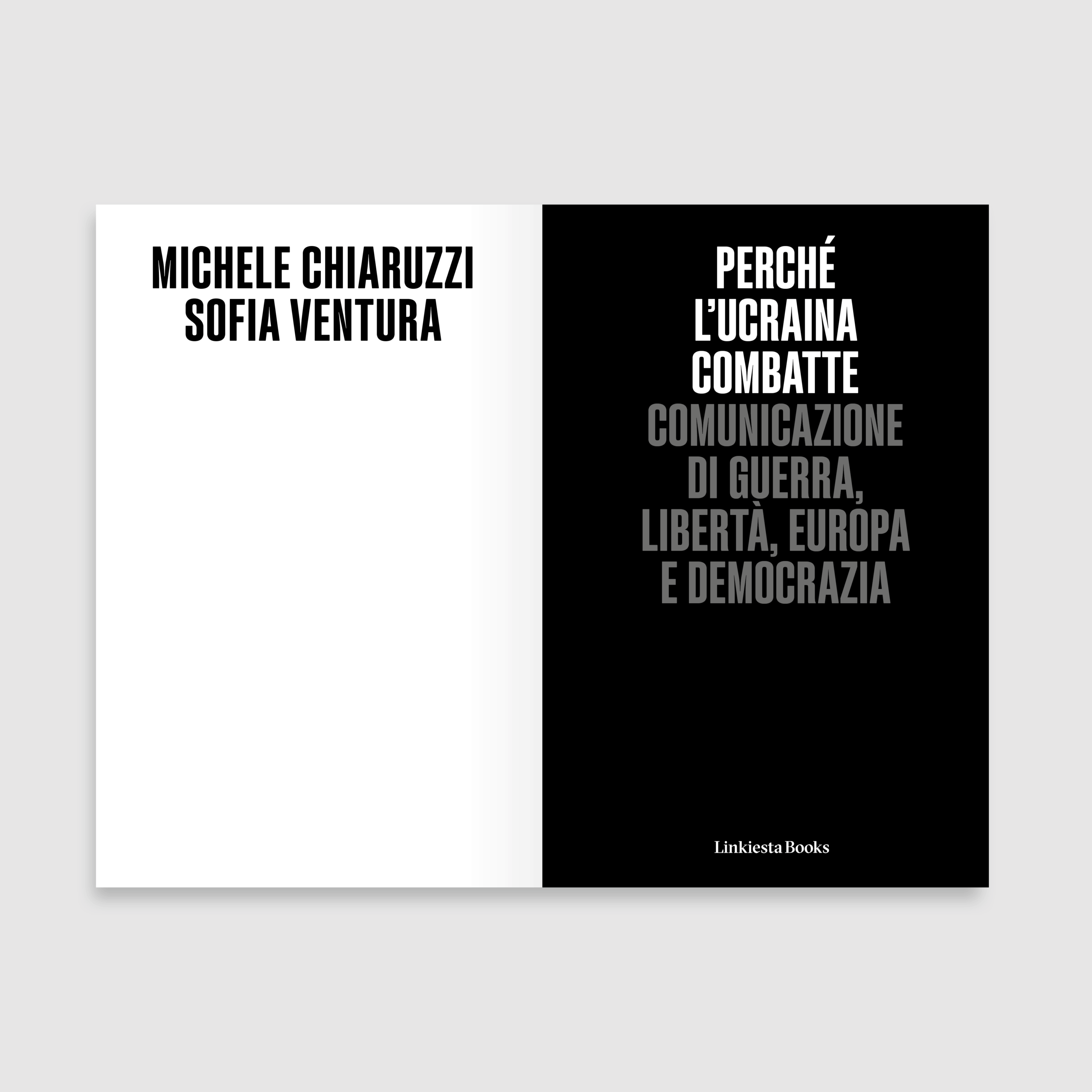 Perché l'Ucraina combatte